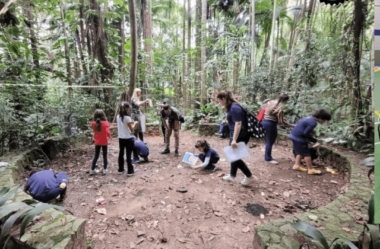 Projeto Na Floresta: Uma Experiência Educativa com Jungle Truck